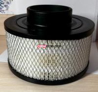 Фильтр воздушный COMPRAG 21020003 OEM